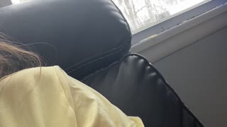 Bird Takes Baby’s Pacifier