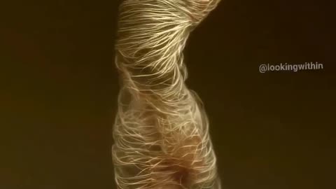 ENERGY MOVES IN ENERGY WAVES PATTERN AND RHYTHMS NOTHING MORE NOTHING LESS A DANCE
