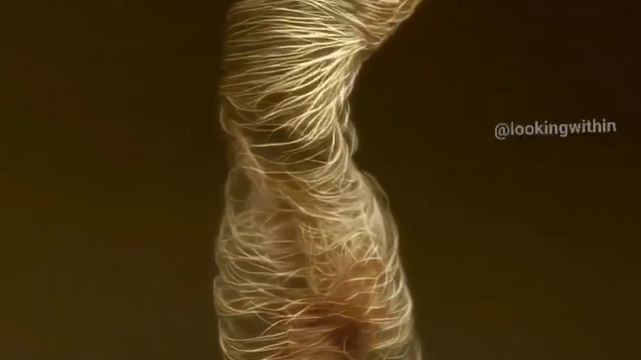 ENERGY MOVES IN ENERGY WAVES PATTERN AND RHYTHMS NOTHING MORE NOTHING LESS A DANCE
