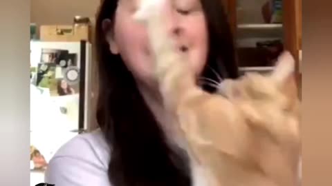 Cat "GTFOH with your pronouns!"