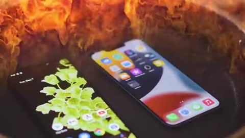 iPhone vs Android - whic
