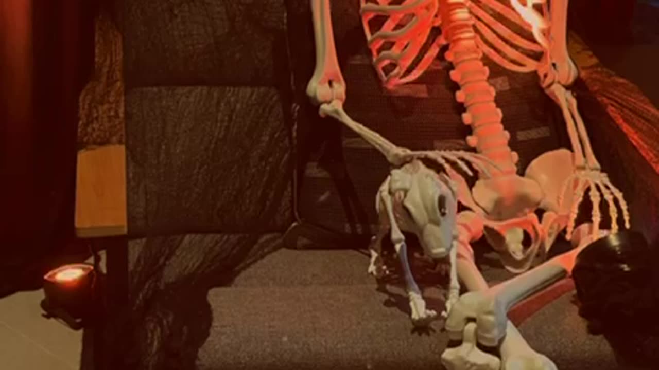 Spooky and Fun Halloween with Sophia!