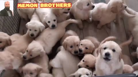 MEMON BROTHERS REAL