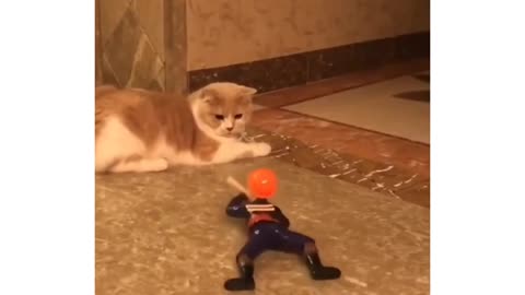 Doll play with cat
