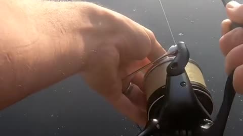 Anyone catch this weekend
