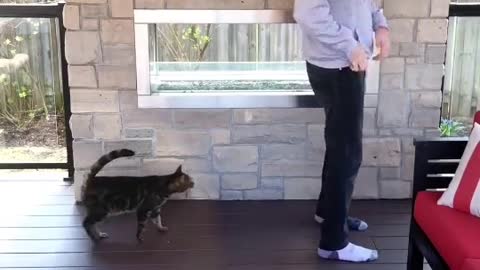 Trustisveryimportanttohavewithyourpet