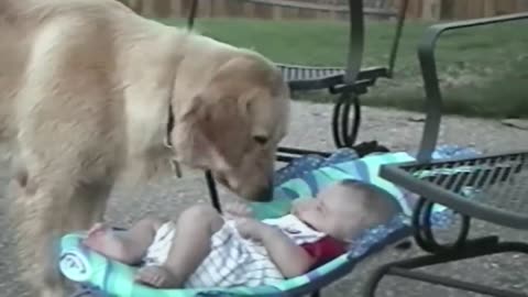 😍 DOGS LOVE BABIES 🤩