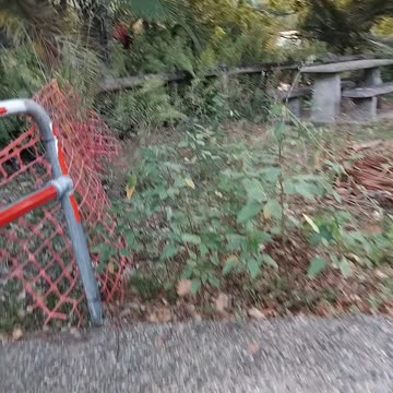 19.11.2024 What an Embarrassment