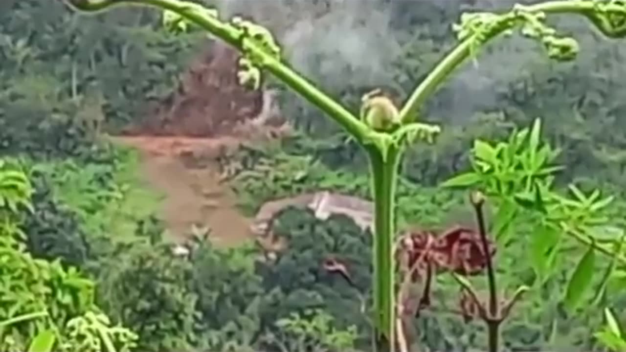 💥 Ambazonian Conflict | Separatists Blow Up Cameroonian Military Truck | RCF