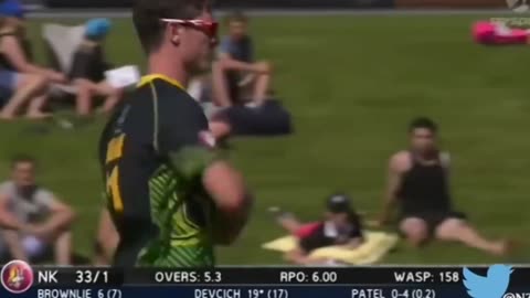 Cricket