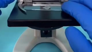 Additional Microscope reality