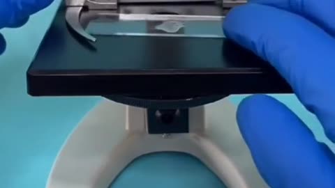 Additional Microscope reality