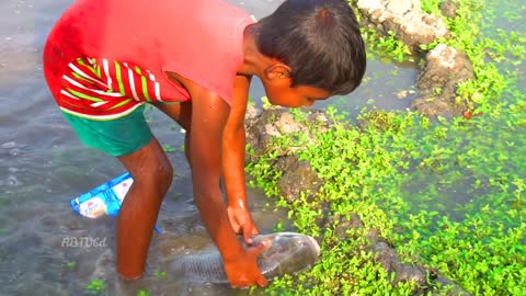 amazing hand fishing - smart boy catching fish by hand - traditional hand fishing video