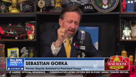 Why the Hunter Biden DoJ story is a total hoax. Seb Gorka with Steve Bannon