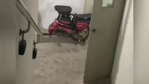 #Funny #Funny video#laugh# interesting#video#short video#short#short cut