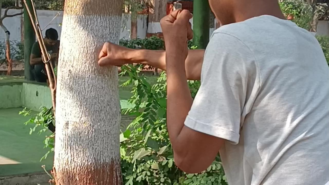 Daily Boxing practice