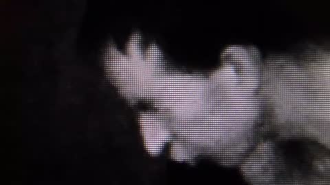 176. Shapeshifting Demons Or Video Error Part 2