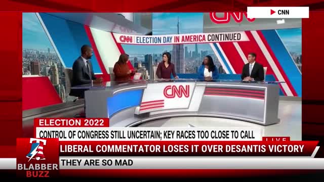Liberal Commentator Loses It Over DeSantis Victory