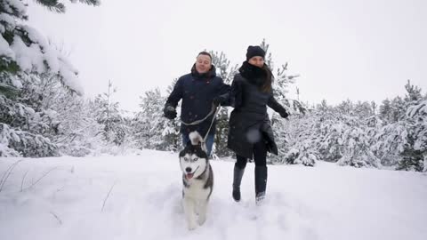 Waist up portrait of happy modern couple playing with cute Husky puppy outdoors in winter,