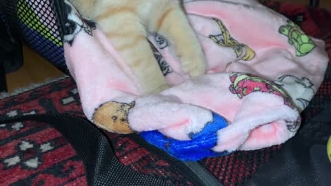 Lily makes biscuits in her blanky