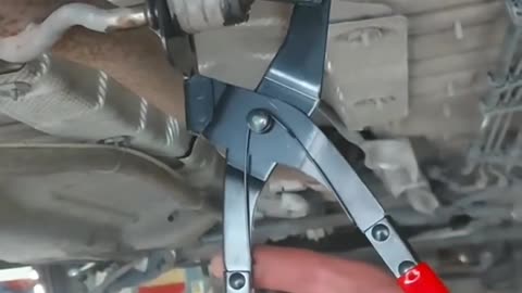 CRC vídeos curiosos