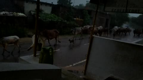Natural rainfall ( प्राकृतिक वर्षा )