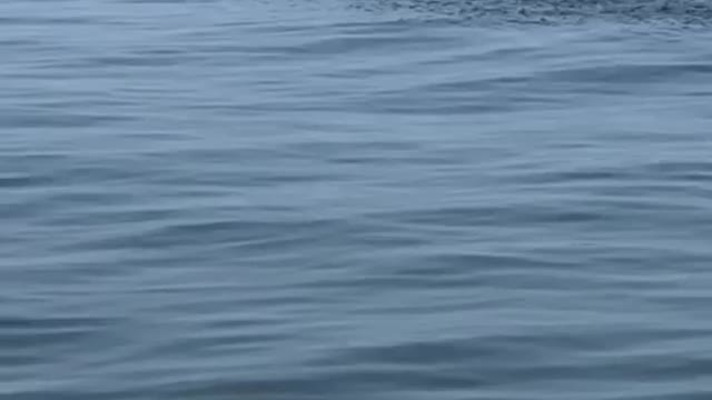 Cape May ferry