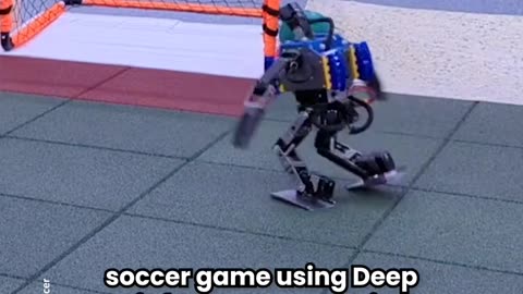Rebot playing football