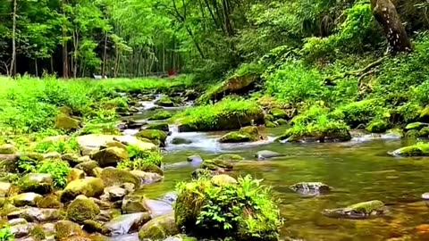 Enjoy the breeze of nature ❤️😍