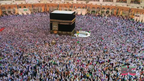 More than 300 Egyptians die from heat during Hajj pilgrimage in Saudi Arabia, diplomats say