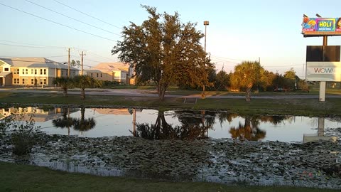 Bart Fine live in Florida at Lake Taco Bell