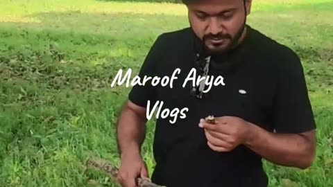 Such is my country ऐसा देश है मेरा