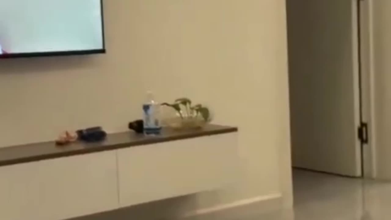 LOOK HOW BRILLIANT HE IS TELL ME? IN COMMENT