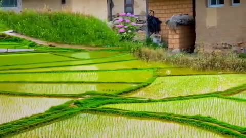 Animated video • Relaxing Music • Meditation Music • 4k Video