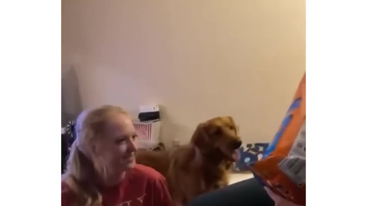 It’s my turn human ! 😂
