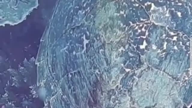 The riches of the sea from the start are amazing to see turtles swimming freely