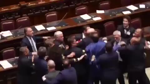 Italian patriot walks into the Italian parliament with an Italy flag and gets
