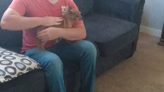Dog lost her mind