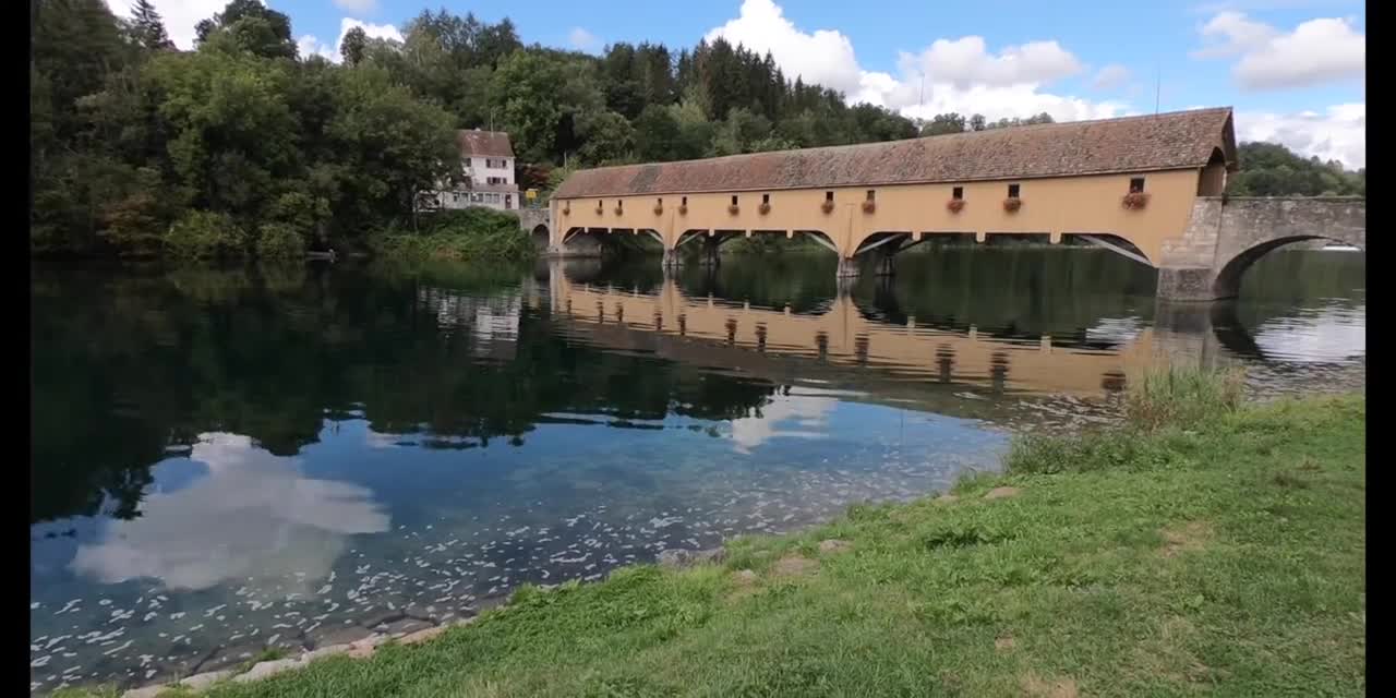 Flusstauchen in Deutschland