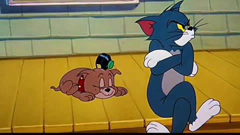 Tom And jerry new series 2024 cartoon