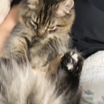 He didn't like being laughed at😭😭