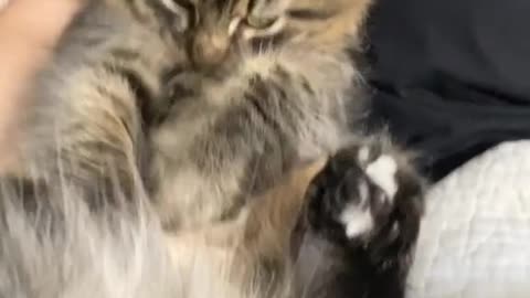 He didn't like being laughed at😭😭