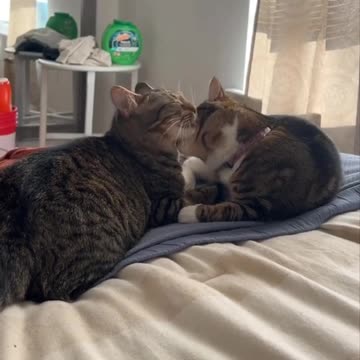 That escalated pretty quickly 🤣🤣😂