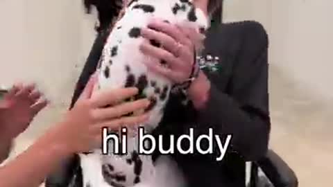 puppy