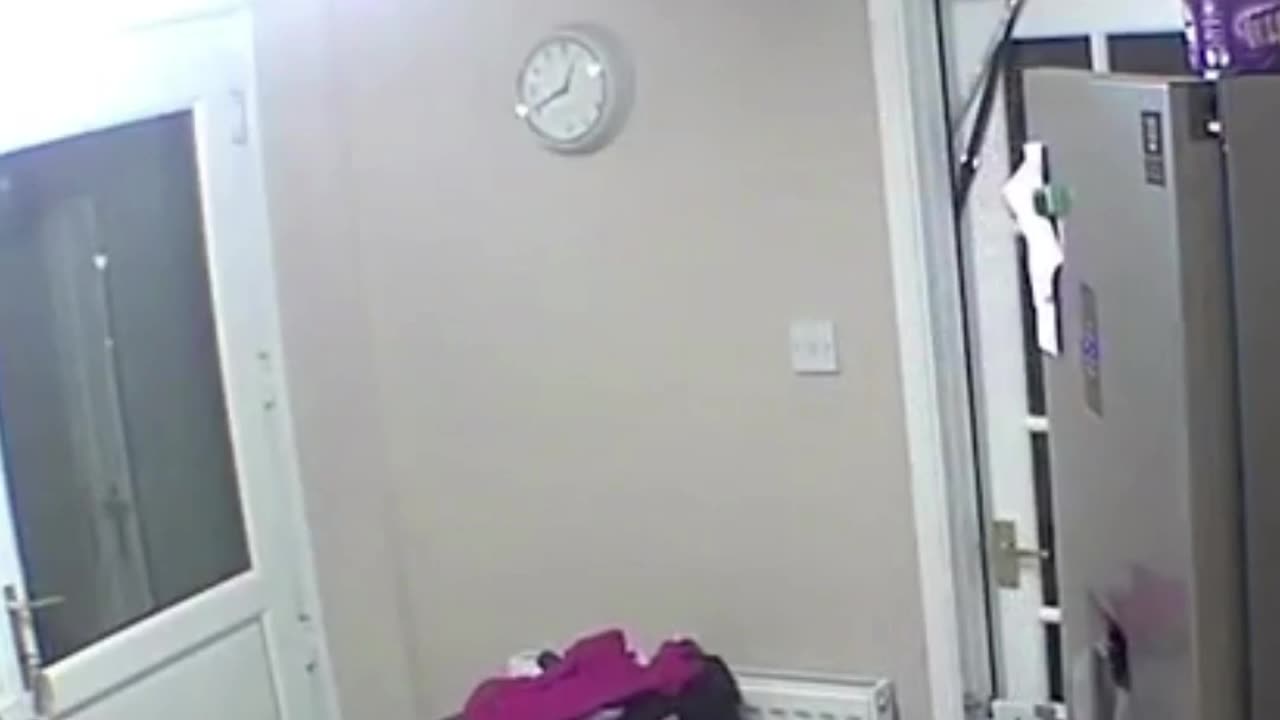 Crazy and Funny Videos!