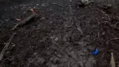 18+ Viewer Discretion: The trenches of the Armed Forces of Ukraine in the Bahkmut