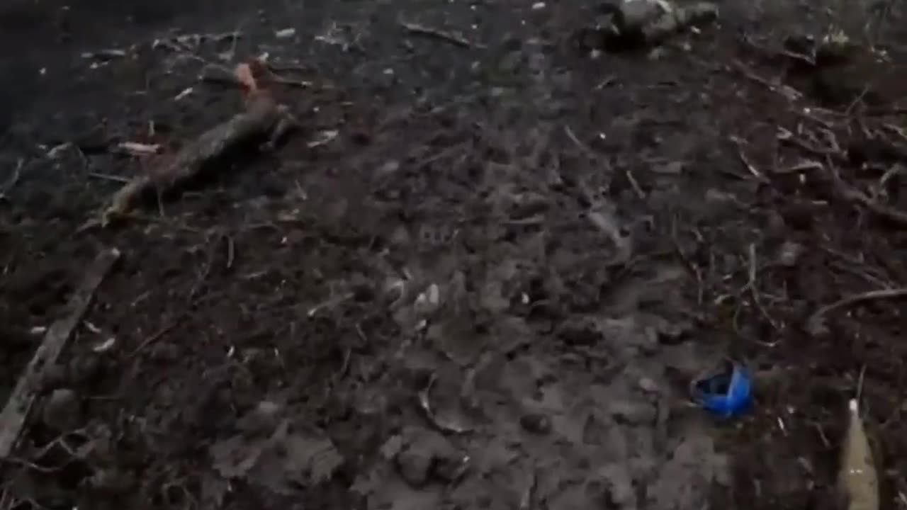 18+ Viewer Discretion: The trenches of the Armed Forces of Ukraine in the Bahkmut