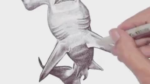 You need to see how to draw a hammerhead shark picture 😮
