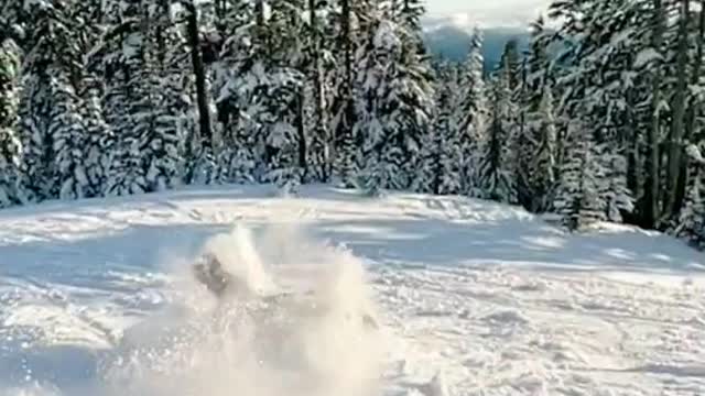 ski ski ski happy