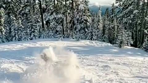 ski ski ski happy